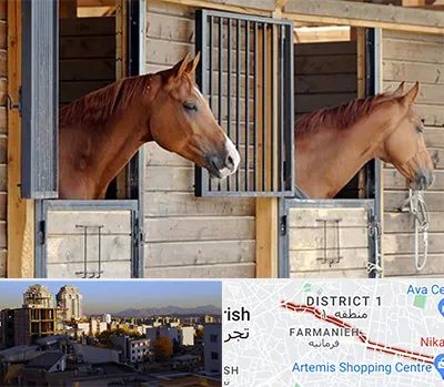 پانسیون اسب در فرمانیه 