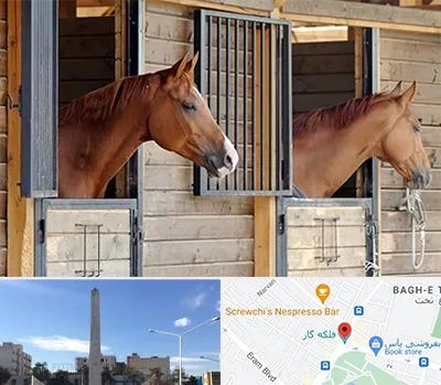 پانسیون اسب در فلکه گاز شیراز 