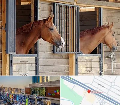 پانسیون اسب در لاله پارک تبریز 