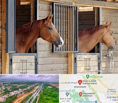 پانسیون اسب در قصرالدشت شیراز 