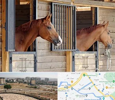پانسیون اسب در کوی وحدت شیراز 