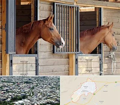 پانسیون اسب در شاهرود