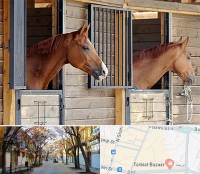 پانسیون اسب در تربیت تبریز 