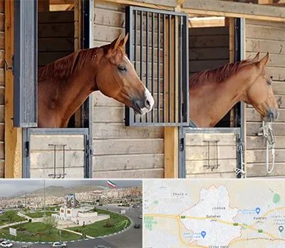 پانسیون اسب در بومهن