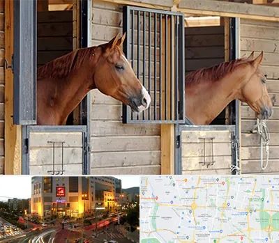 پانسیون اسب در جنت آباد تهران 