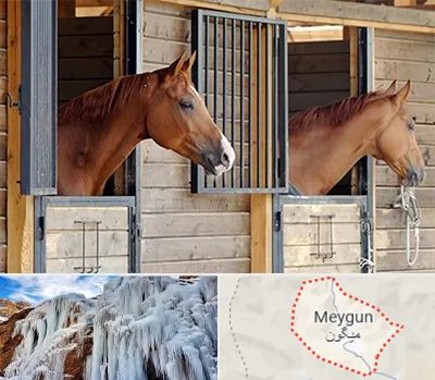 پانسیون اسب در میگون