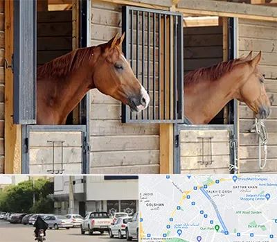 پانسیون اسب در قدوسی شرقی شیراز 