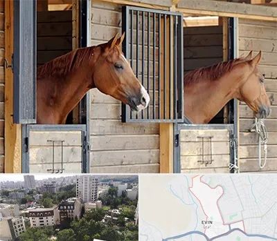 پانسیون اسب در اوین