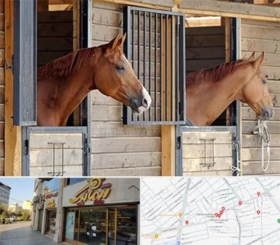 پانسیون اسب در عطاران قم 