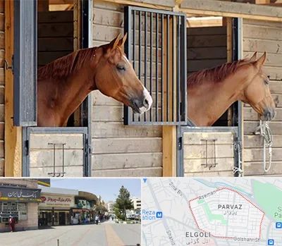 پانسیون اسب در پرواز تبریز 