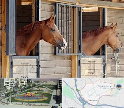 پانسیون اسب در مرزداران تبریز 