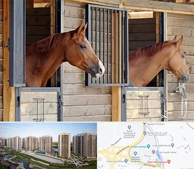 پانسیون اسب در المپیک 