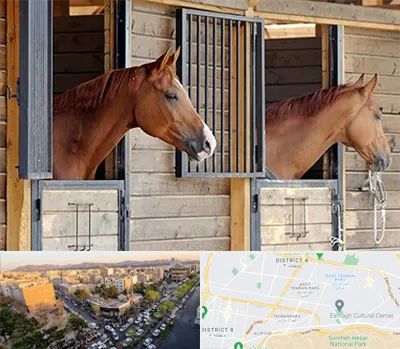 پانسیون اسب در تهرانپارس 