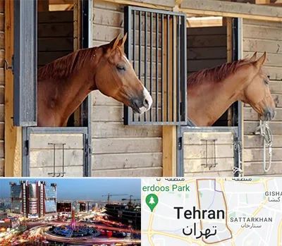 پانسیون اسب در صادقیه 