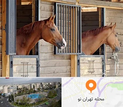 پانسیون اسب در تهران نو