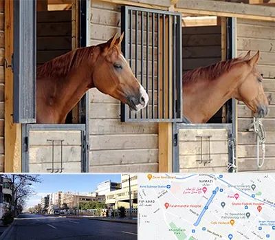 پانسیون اسب در خیابان ملاصدرا شیراز 