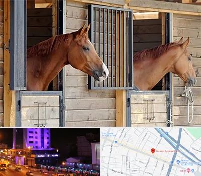 پانسیون اسب در آبرسان تبریز 