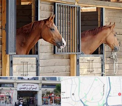 پانسیون اسب در ایران زمین