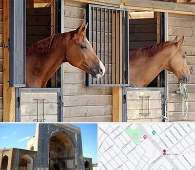 پانسیون اسب در مصلی مشهد 