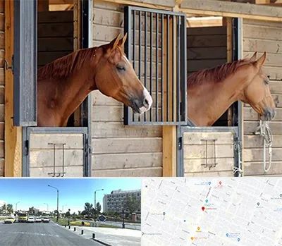 پانسیون اسب در بلوار کلاهدوز مشهد 