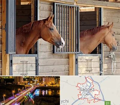 پانسیون اسب در سقز