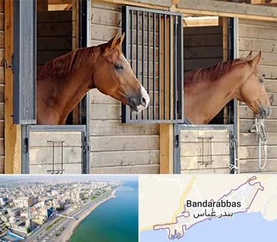 پانسیون اسب در بندرعباس