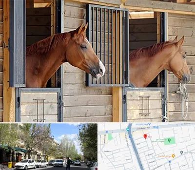 پانسیون اسب در کوی فیروز تبریز 