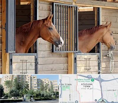 پانسیون اسب در آپادانا