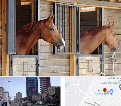 پانسیون اسب در چهارراه طالقانی کرج 