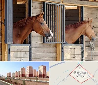 پانسیون اسب در پردیسان قم 