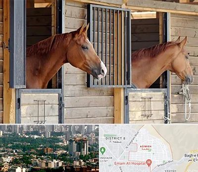 پانسیون اسب در عظیمیه کرج 