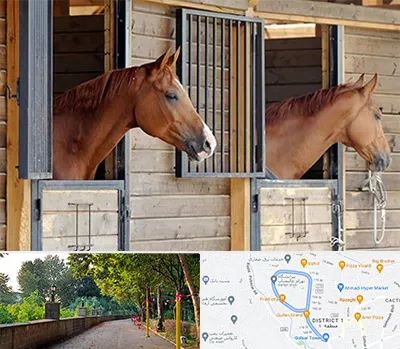 پانسیون اسب در فلکه گاز رشت 