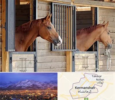 پانسیون اسب در کرمانشاه