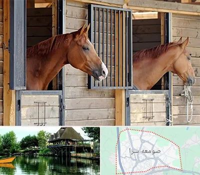 پانسیون اسب در صومعه سرا