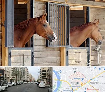 پانسیون اسب در زیتون کارمندی اهواز 