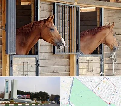 پانسیون اسب در بلوار فلسیطین مشهد 