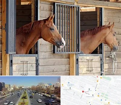 پانسیون اسب در بلوار معلم مشهد 