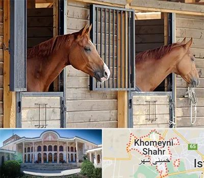 پانسیون اسب در خمینی شهر