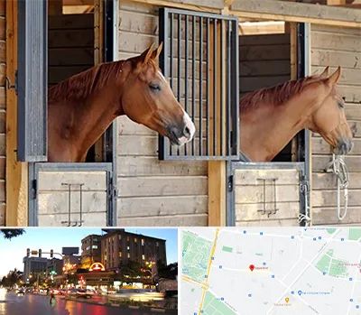 پانسیون اسب در بلوار سجاد مشهد 