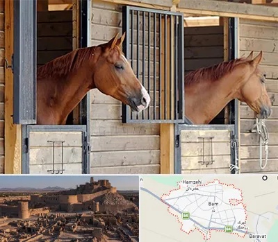 پانسیون اسب در بم