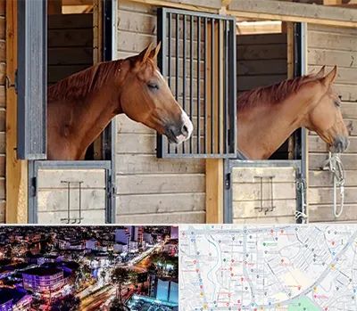 پانسیون اسب در منظریه رشت 