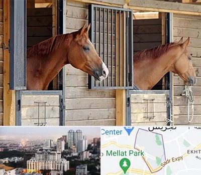 پانسیون اسب در الهیه 