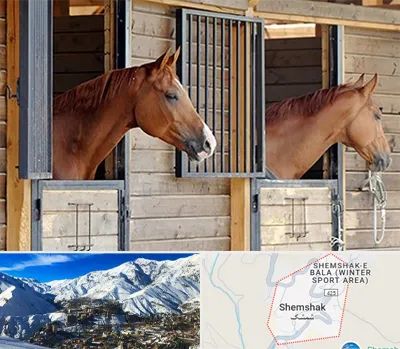 پانسیون اسب در شمشک