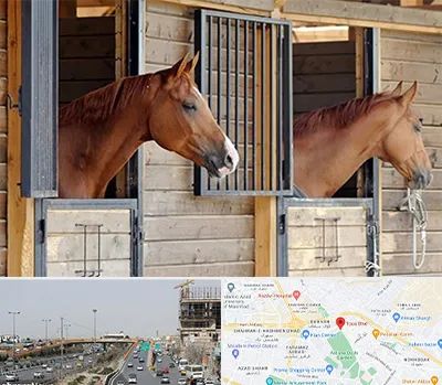 پانسیون اسب در بلوار توس مشهد 
