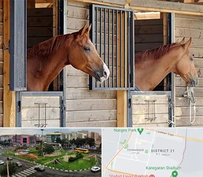 پانسیون اسب در تهرانسر 