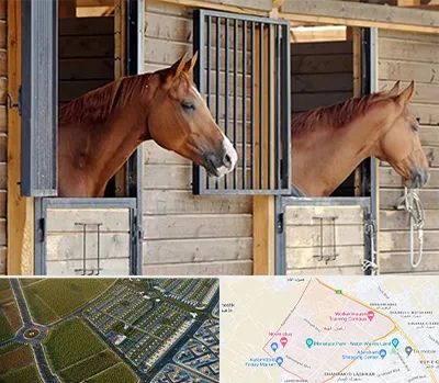 پانسیون اسب در الهیه مشهد 