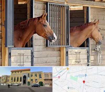 پانسیون اسب در زنبیل آباد قم 