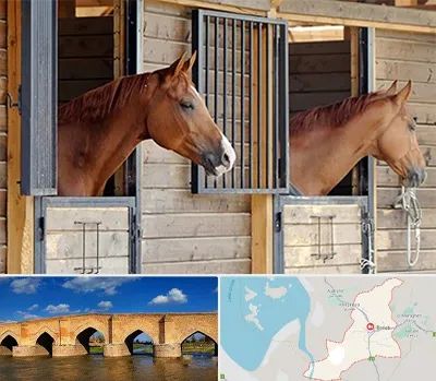 پانسیون اسب در بناب