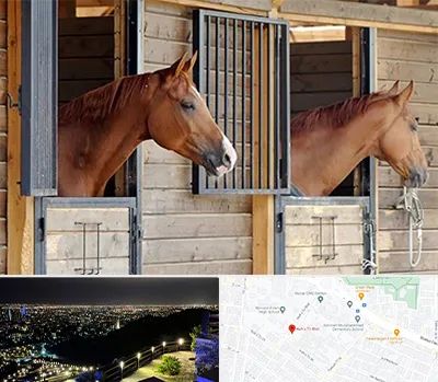 پانسیون اسب در هفت تیر مشهد 