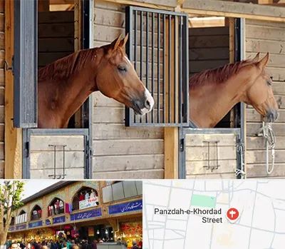 پانسیون اسب در 15 خرداد